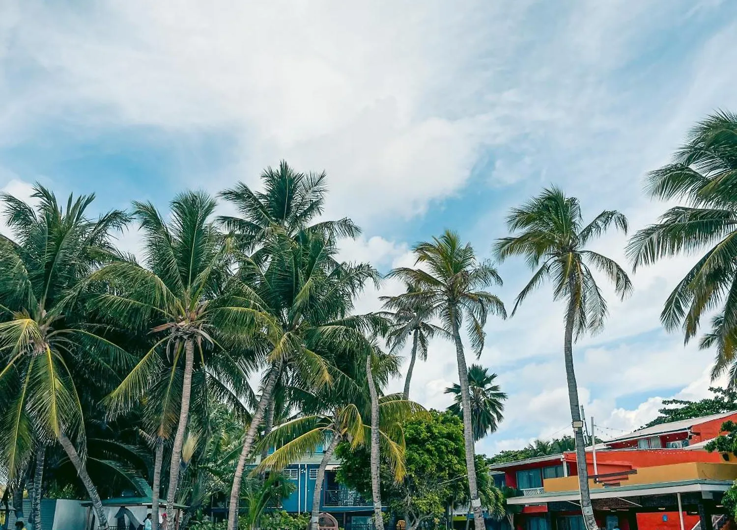 San Andrés Hotel Cocoplum Beach 4*, San Andrés קולומביה